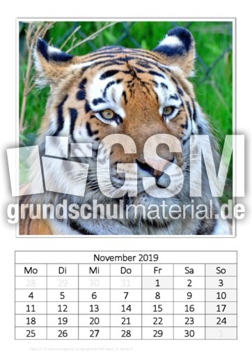 November_Tiger.pdf